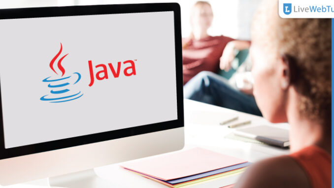 java programming assignment help